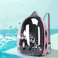 Transparent Space Capsule Pet Backpack Carrier