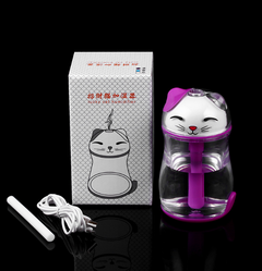 Lucky Cat Humidifier with Crystal Colorful Night Light